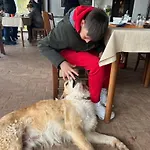 Setterhouseagrihotel 特雷维