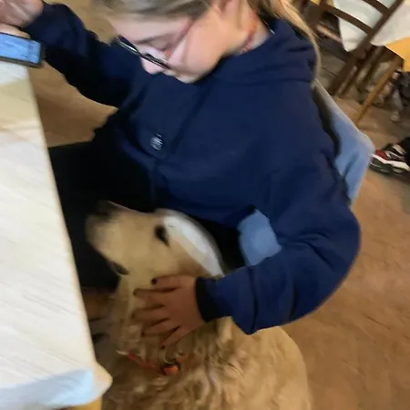 Setterhouseagrihotel 4*