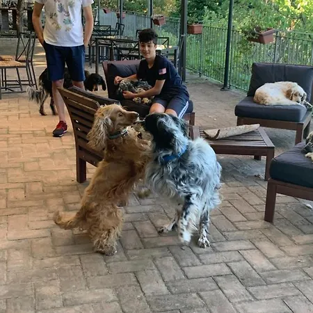 Farm stay Setterhouseagrihotel Trevi