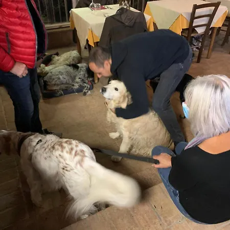Séjour à la ferme Setterhouseagrihotel 4*