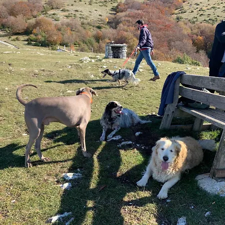 Setterhouseagrihotel