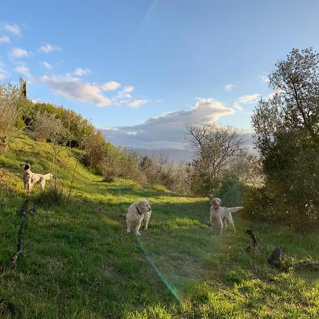 Setterhouseagrihotel Farm stay Trevi