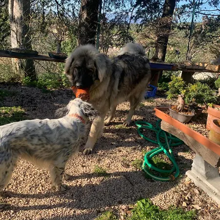 Setterhouseagrihotel Séjour à la ferme