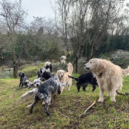 Setterhouseagrihotel Séjour à la ferme Trevi