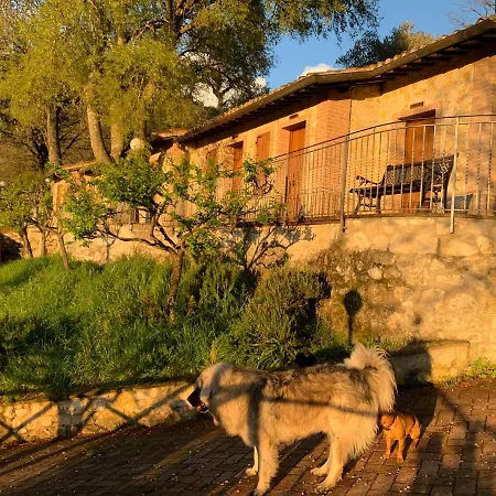 Setterhouseagrihotel Farm stay