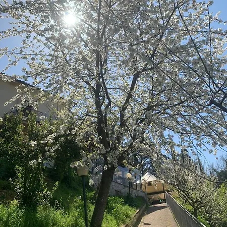 Setterhouseagrihotel Trevi