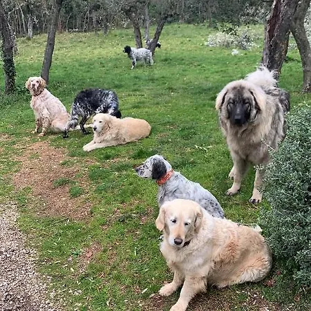 Setterhouseagrihotel Séjour à la ferme