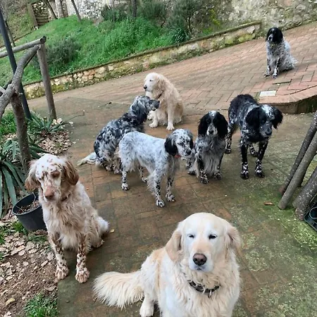 Setterhouseagrihotel