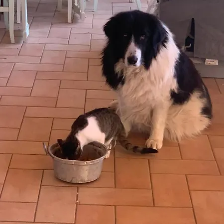 Setterhouseagrihotel Séjour à la ferme Trevi