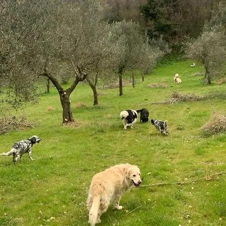 Setterhouseagrihotel 4* Trevi