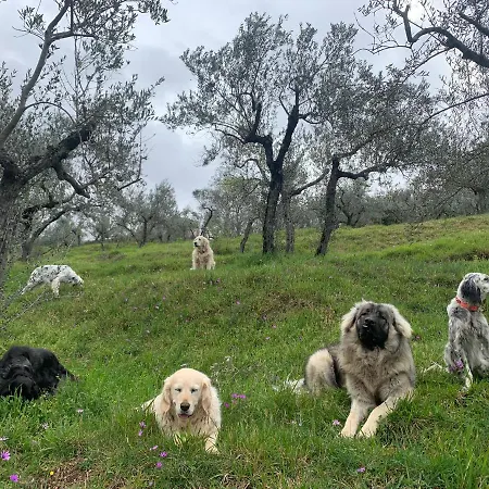 Setterhouseagrihotel