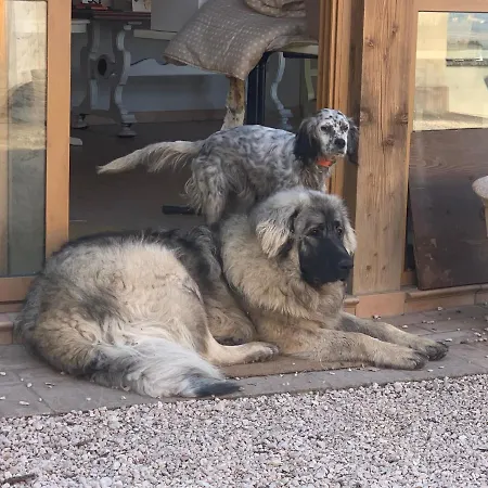 Séjour à la ferme Setterhouseagrihotel 4*