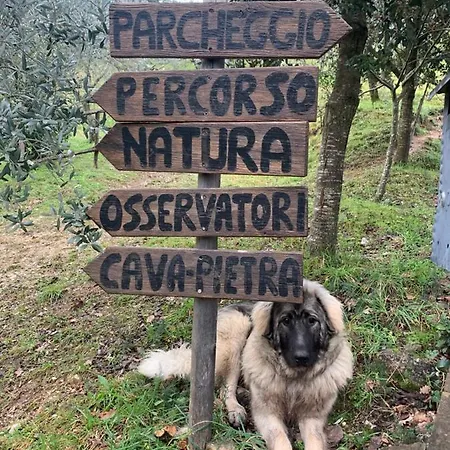 Setterhouseagrihotel Trevi