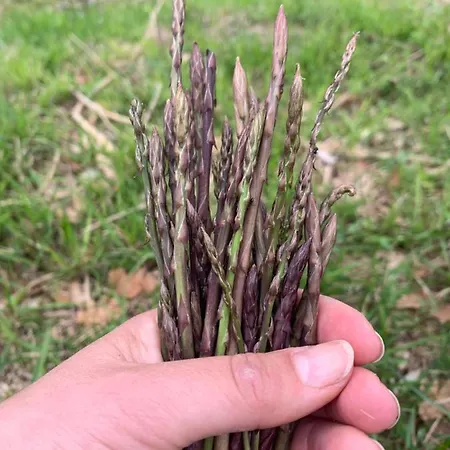 Setterhouseagrihotel 4*