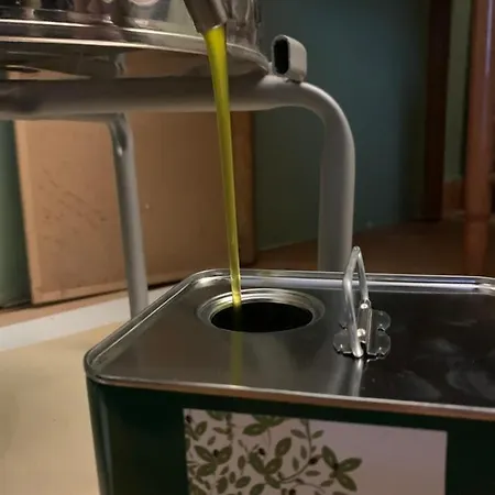 Setterhouseagrihotel 4* Trevi