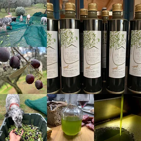 Setterhouseagrihotel Trevi