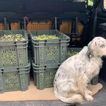 Setterhouseagrihotel