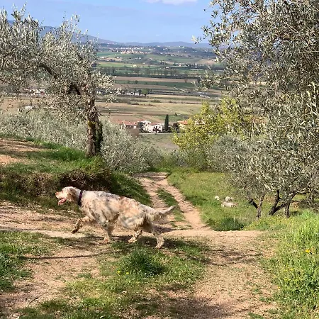 Setterhouseagrihotel Farm stay