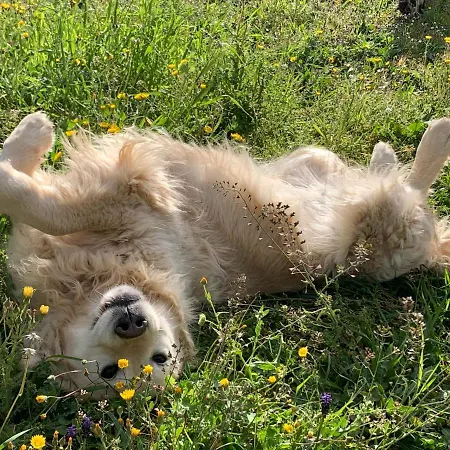 Setterhouseagrihotel 4*