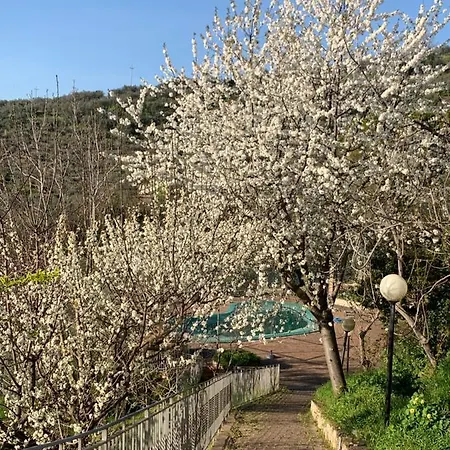 Setterhouseagrihotel 4*