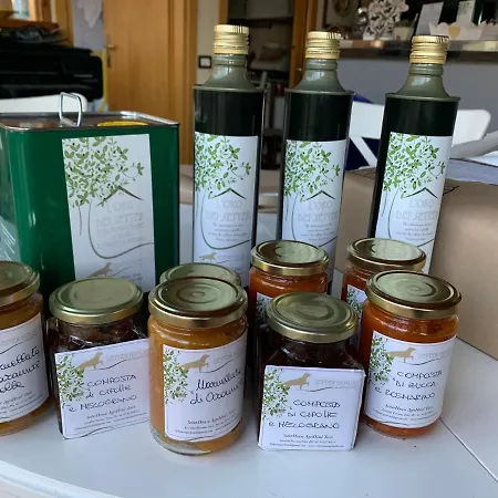 Séjour à la ferme Setterhouseagrihotel Trevi