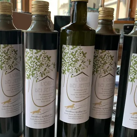 Setterhouseagrihotel 4* Trevi