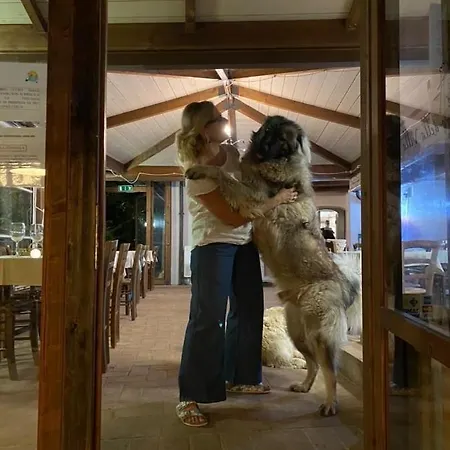 Setterhouseagrihotel 4* Trevi