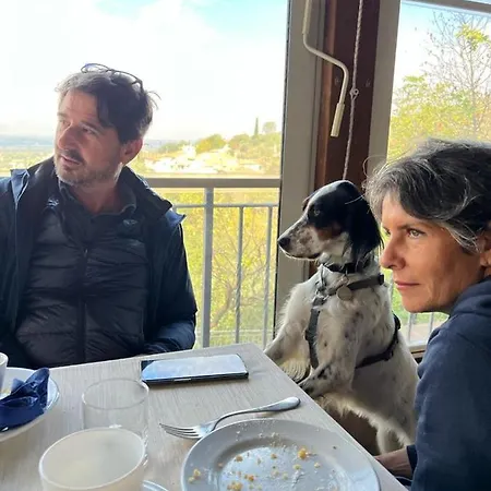 Setterhouseagrihotel Trevi