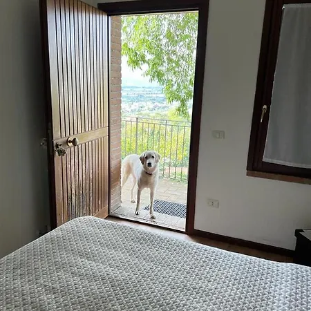 Séjour à la ferme Setterhouseagrihotel Trevi