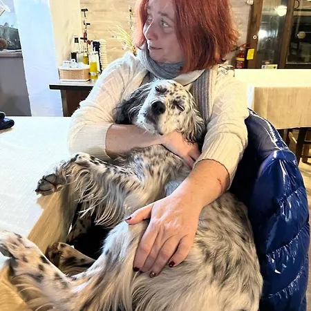 Setterhouseagrihotel Séjour à la ferme 4*