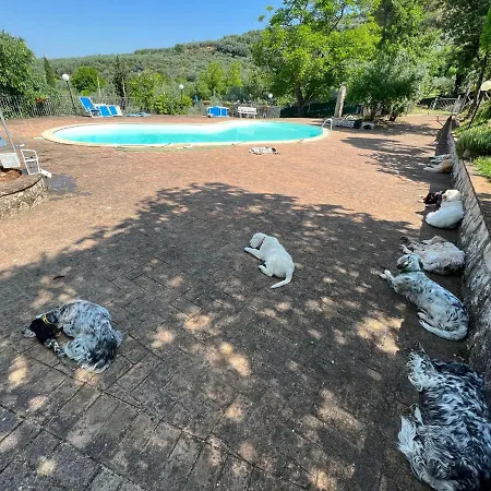 Bauernhof Setterhouseagrihotel