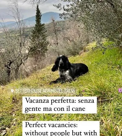 Setterhouseagrihotel 4*