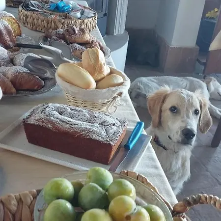 Setterhouseagrihotel 4*