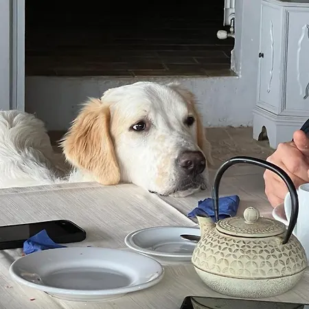 Bauernhof Setterhouseagrihotel Trevi