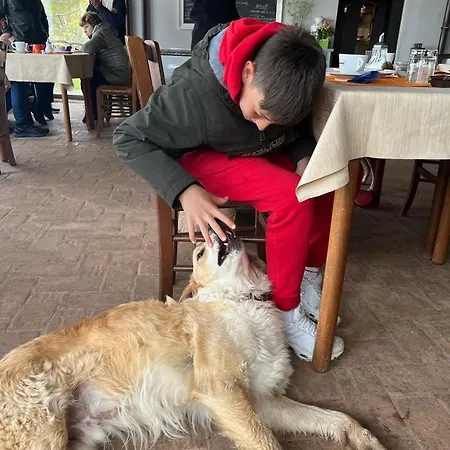 Setterhouseagrihotel Trevi