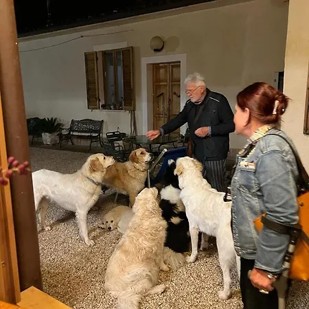 Séjour à la ferme Setterhouseagrihotel