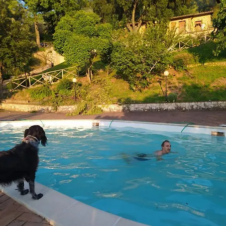 Setterhouseagrihotel Bauernhof Trevi