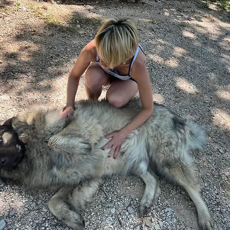 Bauernhof Setterhouseagrihotel Trevi