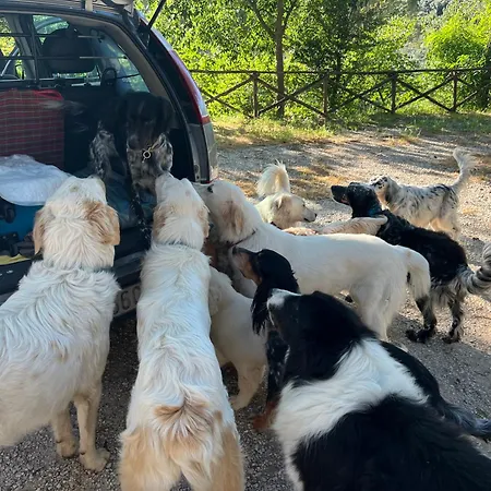 Setterhouseagrihotel Séjour à la ferme 4*