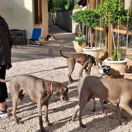 Séjour à la ferme Setterhouseagrihotel Trevi