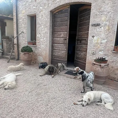 Setterhouseagrihotel * Trevi