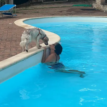 Setterhouseagrihotel 4*