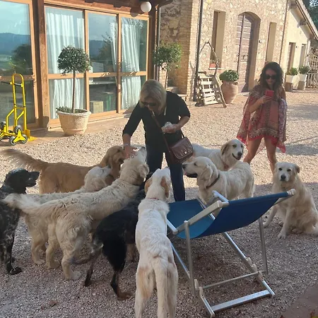 Setterhouseagrihotel