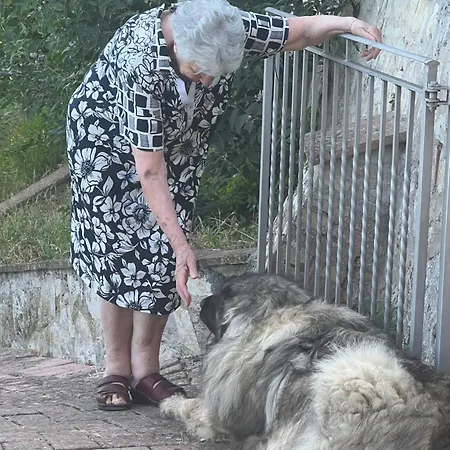 Setterhouseagrihotel Bauernhof