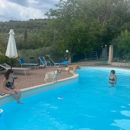 Setterhouseagrihotel Farm stay Trevi