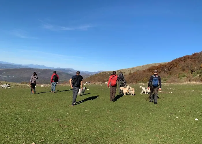 Setterhouseagrihotel 4*