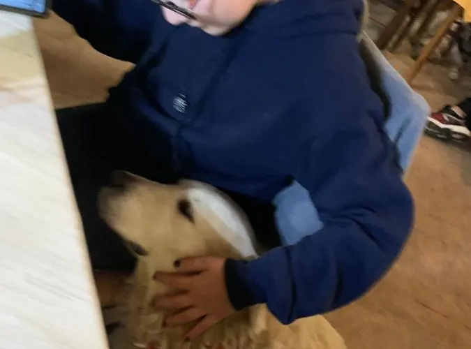 Setterhouseagrihotel 4*