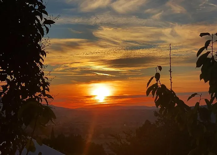 Alloggio per agriturismo Setterhouseagrihotel