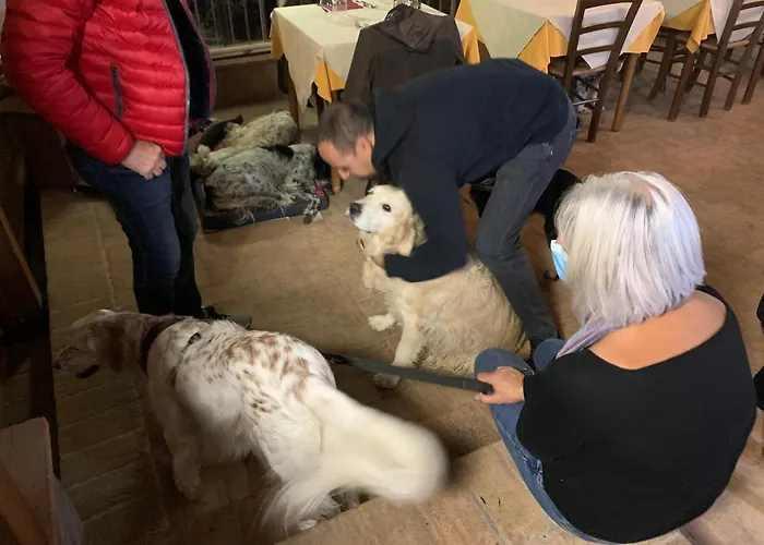 Alloggio per agriturismo Setterhouseagrihotel 4*