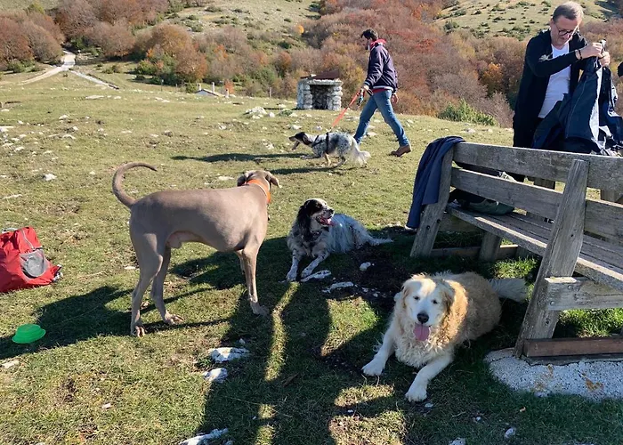 Setterhouseagrihotel